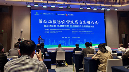 九禾应用大会.jpg
