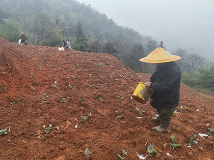开宝体育官网股份公司春肥送暖助春耕