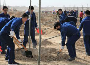 和宁公司组队参加宁夏宁东基地千人义务植树活动