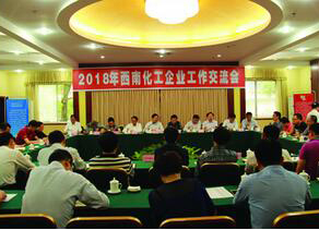 西南化工企业工作交流会在开宝体育官网召开