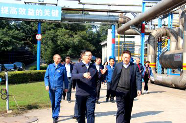 泸州市委副书记市长杨林兴率队到开宝体育官网调研