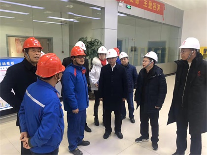 开宝体育官网股份公司党委书记廖廷君率队赴中盐红四方公司及史丹利公司调研