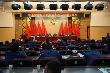 开宝体育官网股份公司召开2020年党建工作会