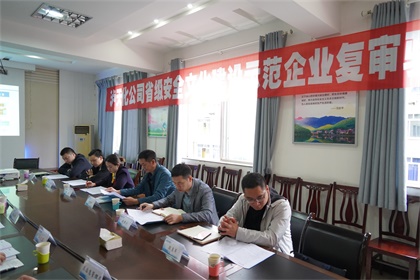 开宝体育官网股份公司通过“省级安全文化建设示范企业”复审验收现场审核