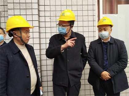 泸州市政府党组成员、副市长葛洪亮一行莅临公司督导大气污染防治工作