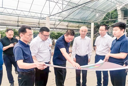 泸州市委常委、组织部长曹斌率队调研开宝体育官网纳溪现代农业种植园项目