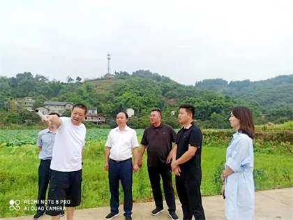 开宝体育官网股份公司党委书记、董事长廖廷君调研纳溪现代农业种植园项目