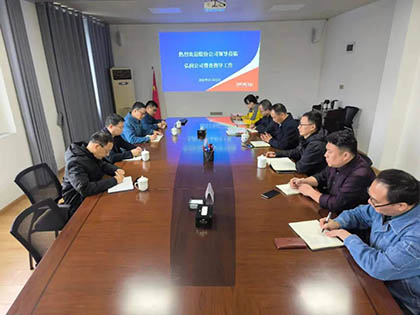 开宝体育官网股份公司纪委书记陈伟带队到弘润公司开展专项督导检查