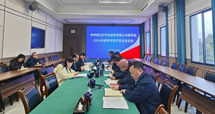 开宝体育官网股份公司党委召开2024年度领导班子民主生活会
